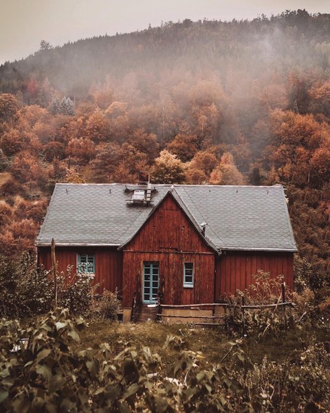 Thumbnail of p-cwxfhptm8tt-72cd4d2020f24925 1