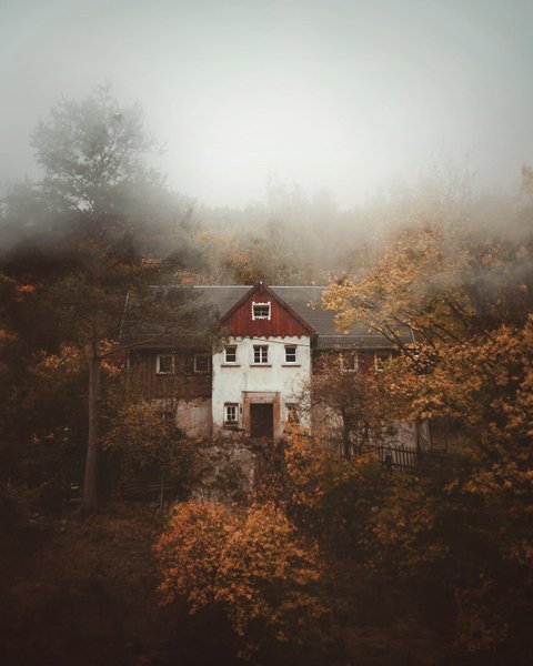 Thumbnail of p-cwxfhptm8tt-72cd4d2020f24925 3