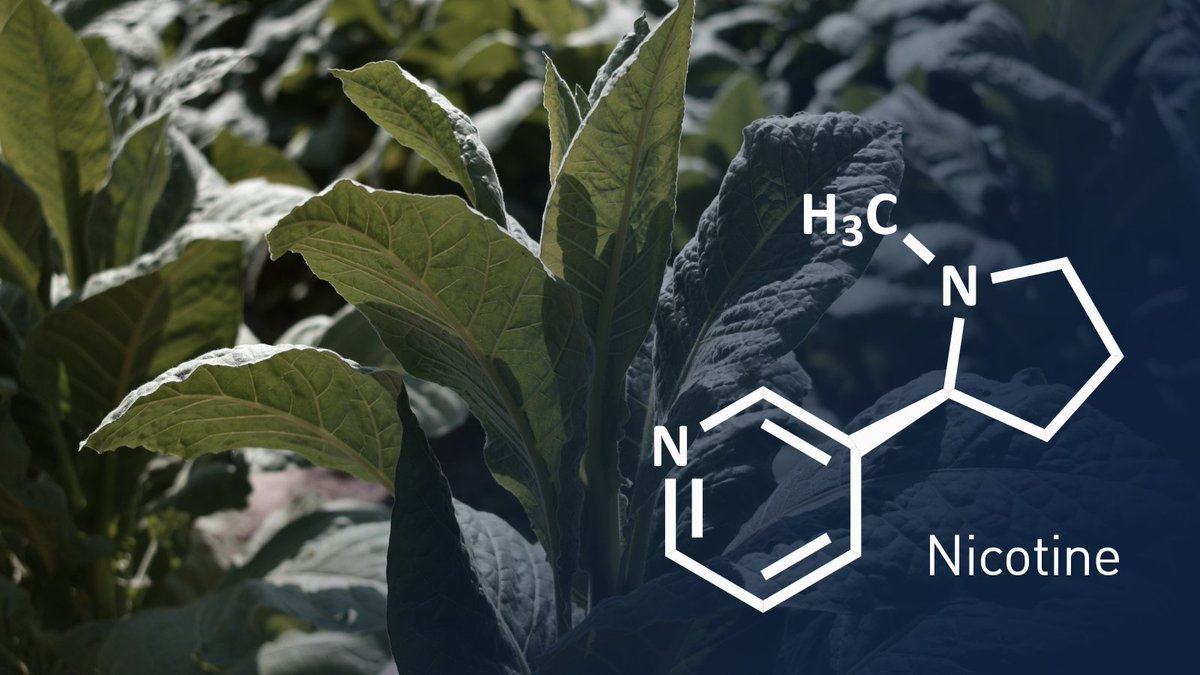 Thumbnail of www-x-com-eo-nutrition-status-1774758495134314907-72d7f8fe739d43fe