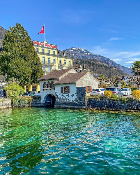 Thumbnail of p-cdv9ll4mu9y-72dd6087ab0f47a2 4