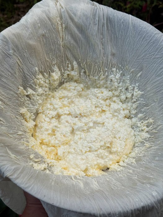 Thumbnail of www-x-com-solbrah-status-1959879219569107355-72eb9ba15c2949d4