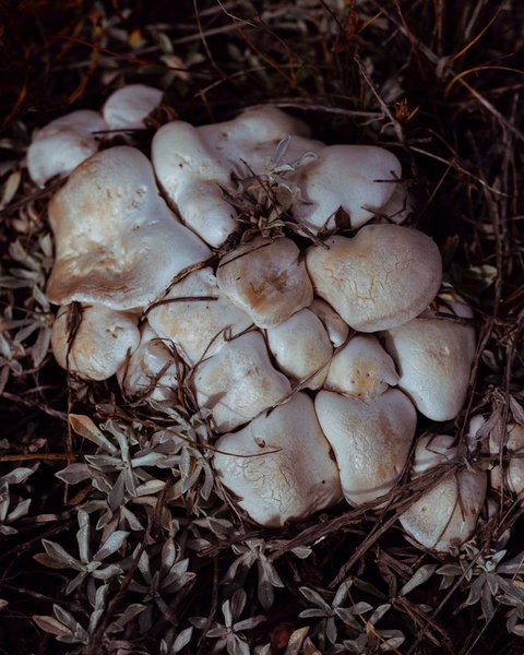 Thumbnail of p-b26klnfgmzl-73057568ad2c4a01 5