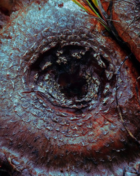 Thumbnail of p-b26klnfgmzl-73057568ad2c4a01 6