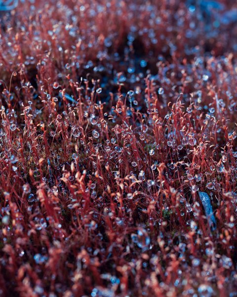 Thumbnail of p-b26klnfgmzl-73057568ad2c4a01 7