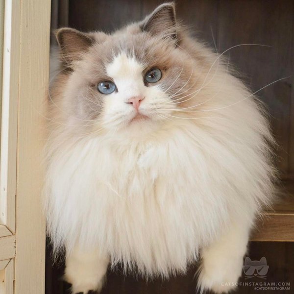 Thumbnail of p-bqt67ncfjup-730c6a404d854e9b 0