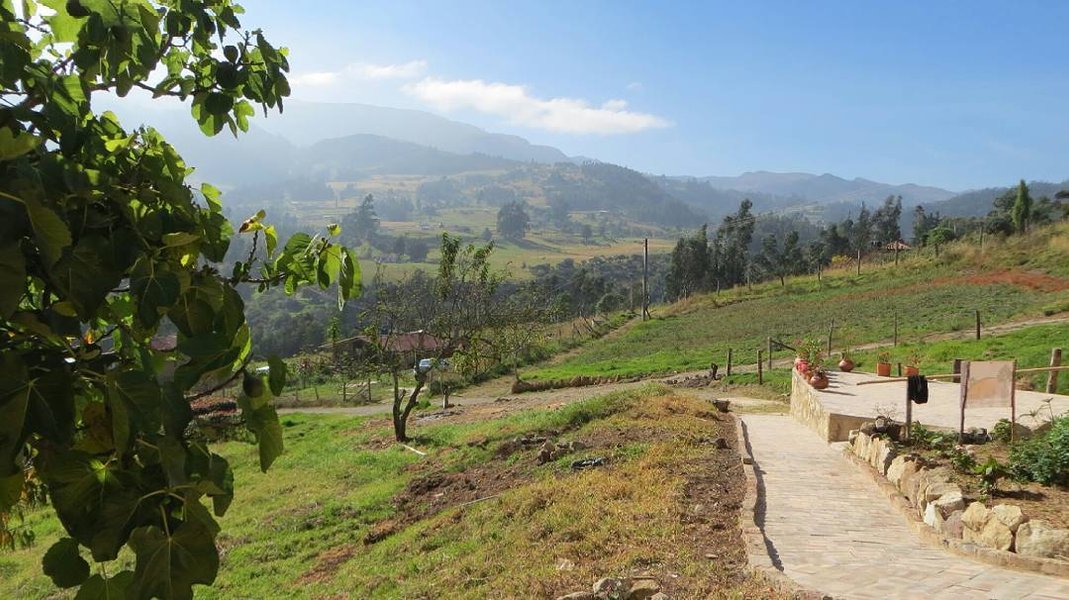 Thumbnail of p-bbyaq6ragvr-732091e538cb4e38 1