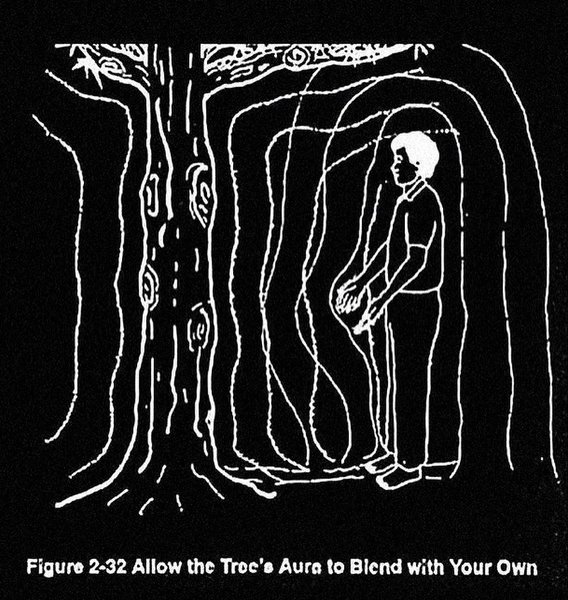 Thumbnail of p-c7oxploxq7p-73224a90c0684130 4