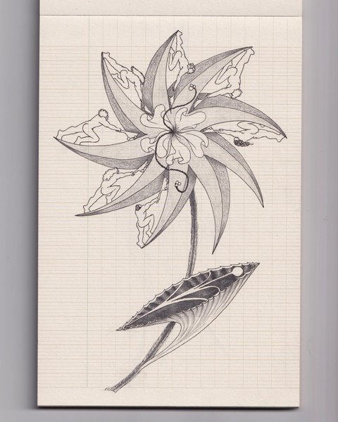 Thumbnail of 0kis-vh-732911c419e1452f 3