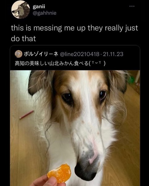 Thumbnail of p-c2unsp0oybx-733c9634ebdb4579 0