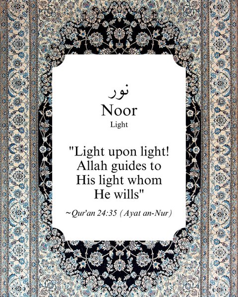 Thumbnail of p-dfdzfsaz9nj-73439cabda124d1d 1