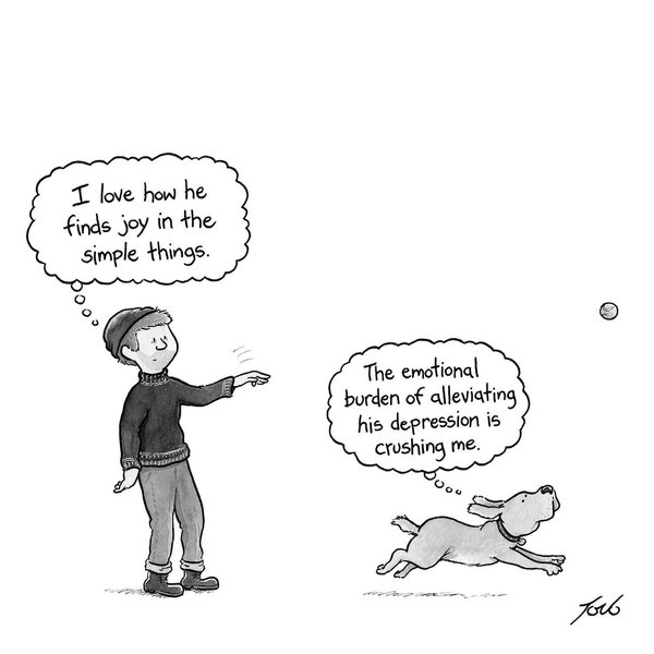 Thumbnail of p-dchyi5ubnnl-736ce1f6140a454f 0