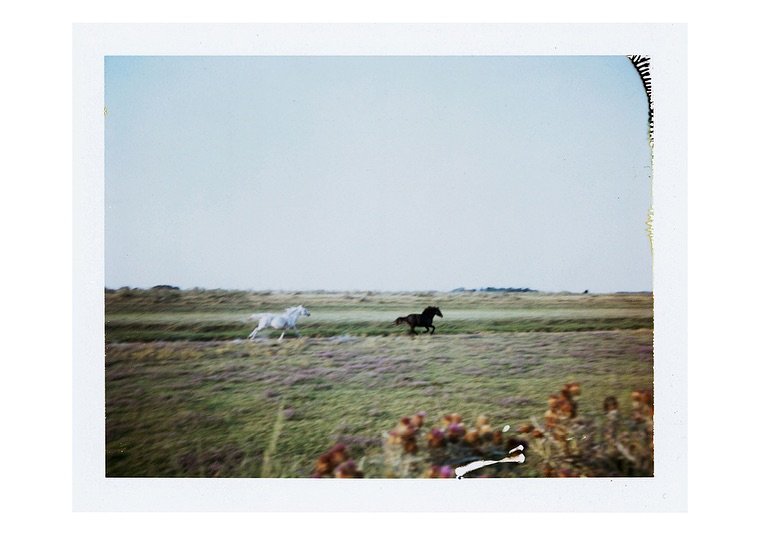 Thumbnail of p-dfdcpbanaxt-73784198dc034388 11