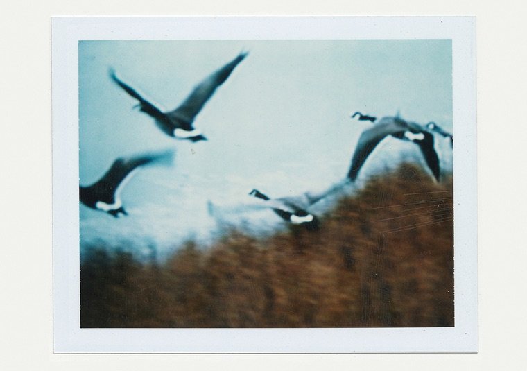 Thumbnail of p-dfdcpbanaxt-73784198dc034388 4