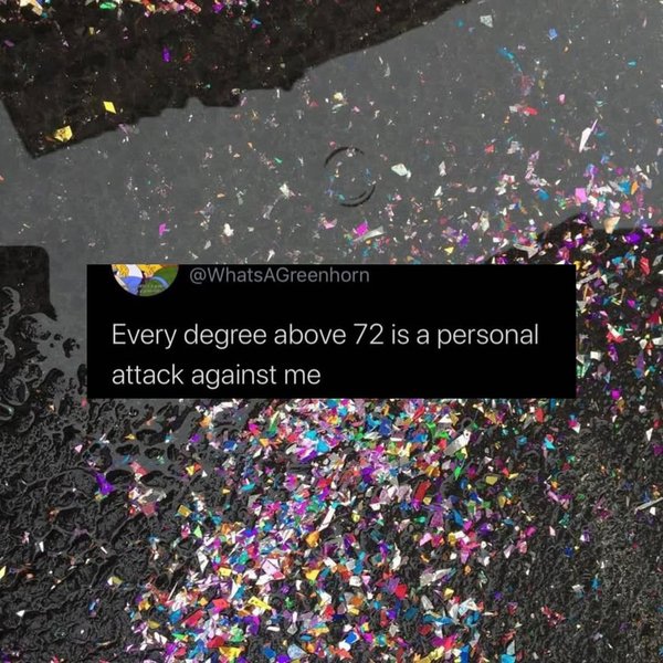 Thumbnail of p-dojtgzdevw0-738121c762524295 12