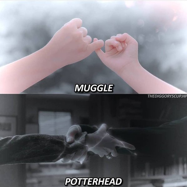 Thumbnail of brqgexpau-y-73904113834d4752 0