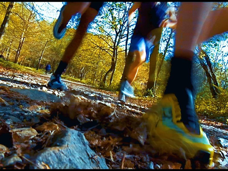 Thumbnail of p-c6oauvuo2h2-745d7c3c7f2140d3 11