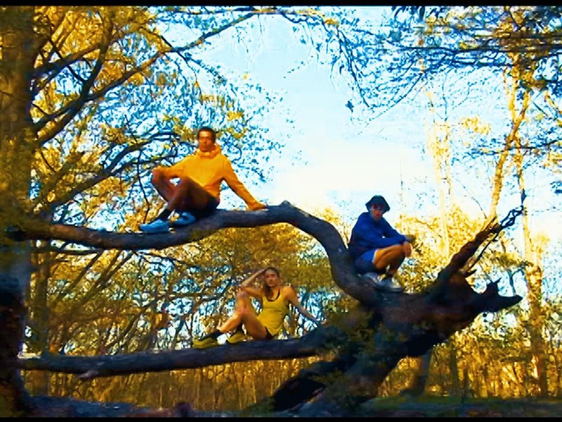 Thumbnail of p-c6oauvuo2h2-745d7c3c7f2140d3 4