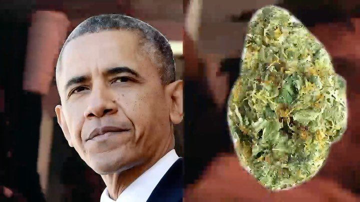 Thumbnail of p-cmvihlgayfa-747983f6f1f245f2 3