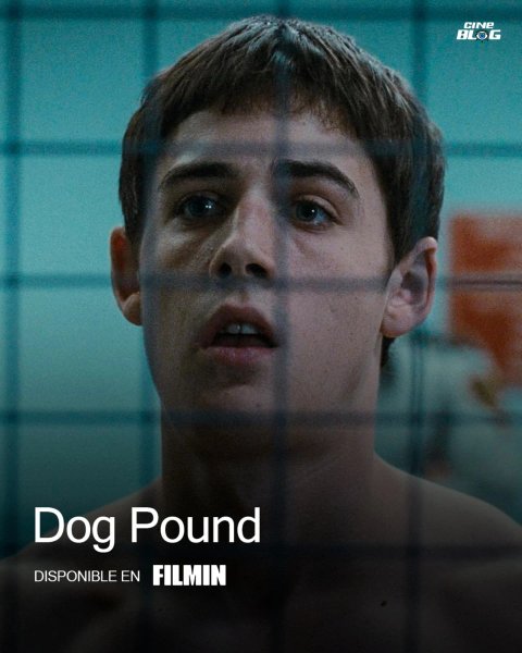 Thumbnail of p-dgjt8zijyjl-74b3e3f7f7f54b03 2