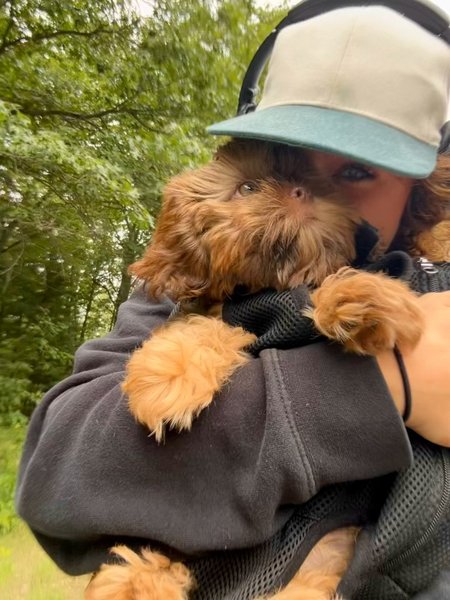 Thumbnail of dmwwdy-oxll-74d0a5fe153b40e1 1