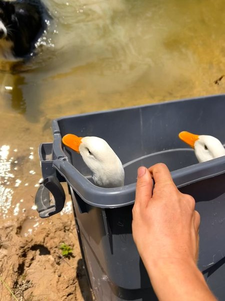 Thumbnail of dmwwdy-oxll-74d0a5fe153b40e1 4