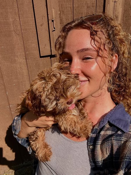 Thumbnail of dmwwdy-oxll-74d0a5fe153b40e1 6