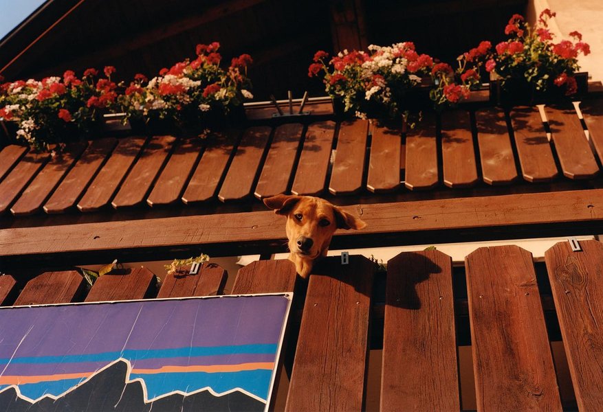 Thumbnail of p-cxz9vjgli7j-74e3ed2d14b2434d 0