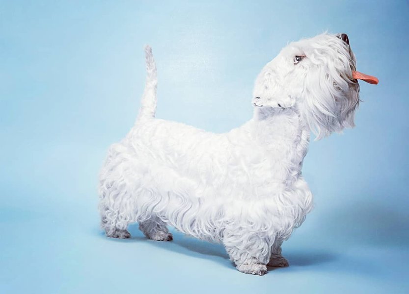 Thumbnail of p-bwujvwghs8m-74f2c50443bf4259 0