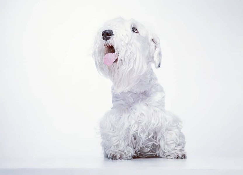 Thumbnail of p-bwujvwghs8m-74f2c50443bf4259 1