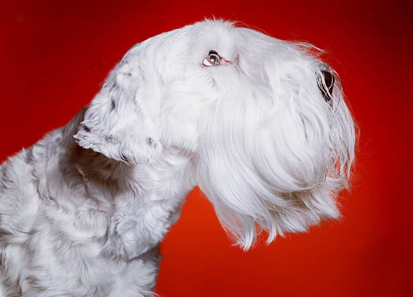 Thumbnail of p-bwujvwghs8m-74f2c50443bf4259 2