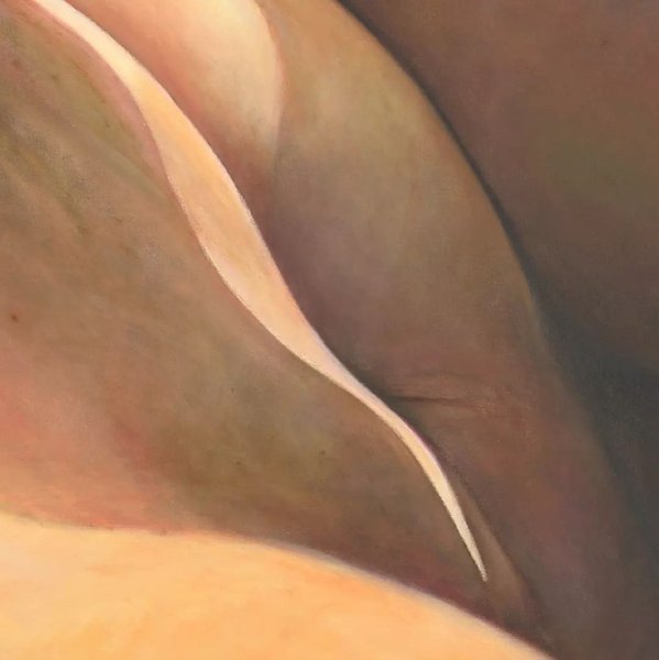 Thumbnail of p-daleoraxogj-7536172010104891 1