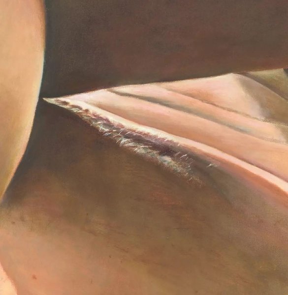 Thumbnail of p-daleoraxogj-7536172010104891 3