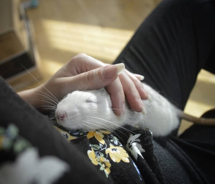 Thumbnail of p-bo6mfaeienb-75c7dd3442184813 0