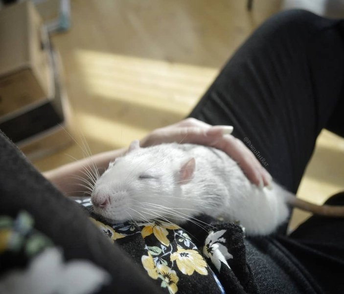 Thumbnail of p-bo6mfaeienb-75c7dd3442184813 1