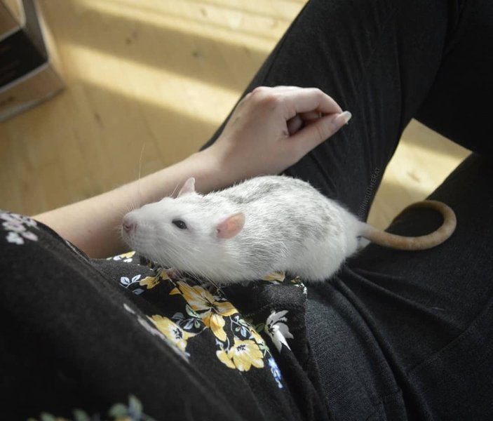 Thumbnail of p-bo6mfaeienb-75c7dd3442184813 3