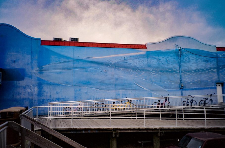 Thumbnail of p-cglqncmn3hz-75c8d51443c74dbf 2