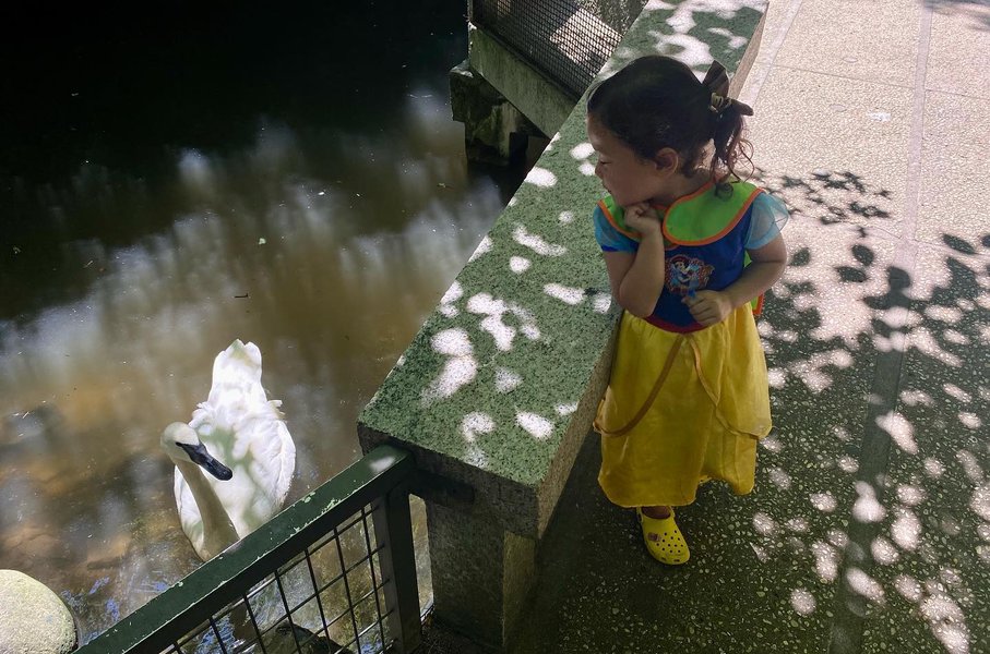 Thumbnail of p-cglqncmn3hz-75c8d51443c74dbf 3