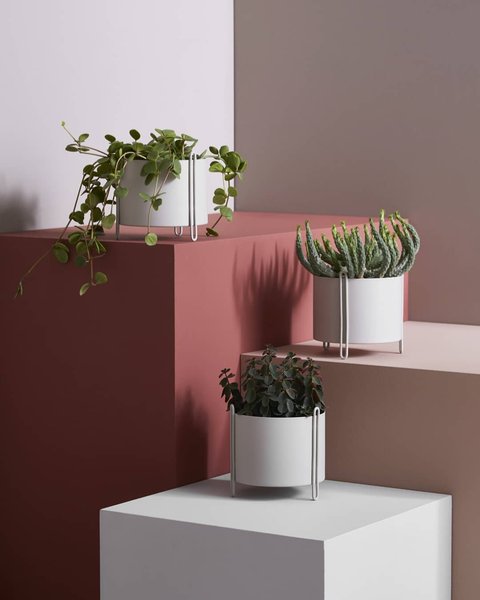 Thumbnail of p-bjb0jrpbsdg-75f75e1fcaf0496a 0