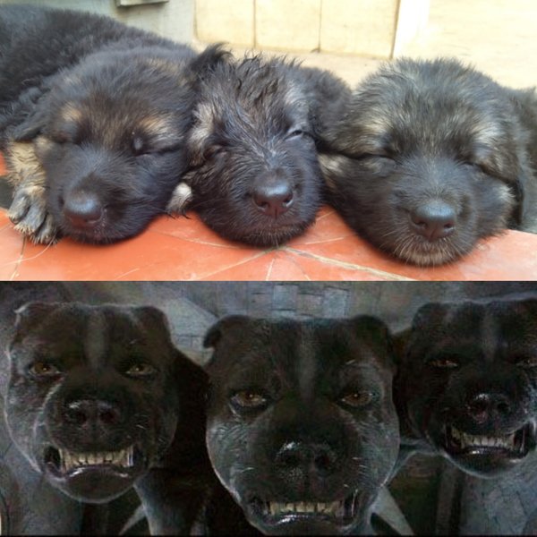 Thumbnail of p-bu6h7uzazcx-76066af75a124ea0 0