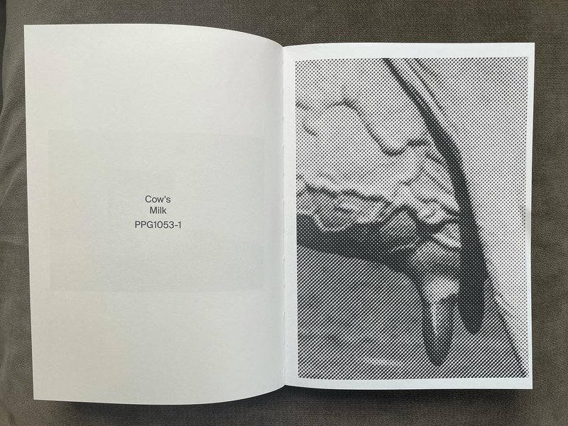 Thumbnail of cv8ky-elgeb-7610f375d9274645 1