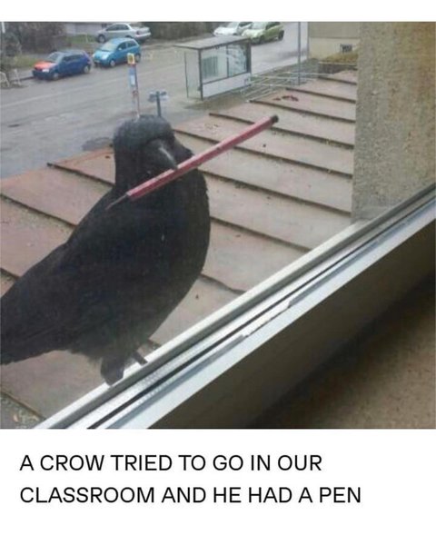 Thumbnail of p-b7hsn8zhopw-7627ba4ecba64f95 0