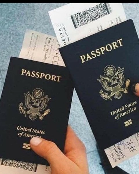 Thumbnail of p-cqv2rttdwdg-7629fc3f556c4ec9 3