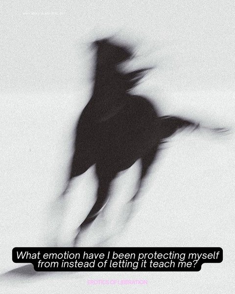 Thumbnail of p-dqrmsmsjeuw-764f6cf45e8c4bfb 3