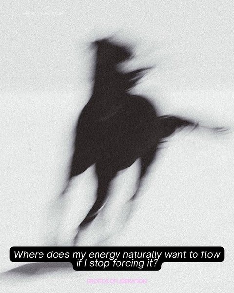 Thumbnail of p-dqrmsmsjeuw-764f6cf45e8c4bfb 5