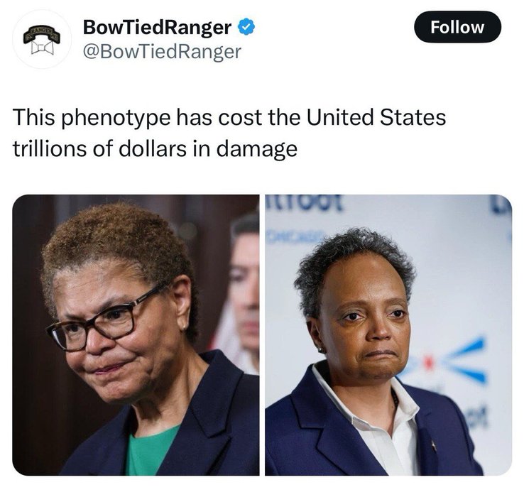 Thumbnail of www-x-com-wwnhost-status-1878775751555854793-76687978e065422b