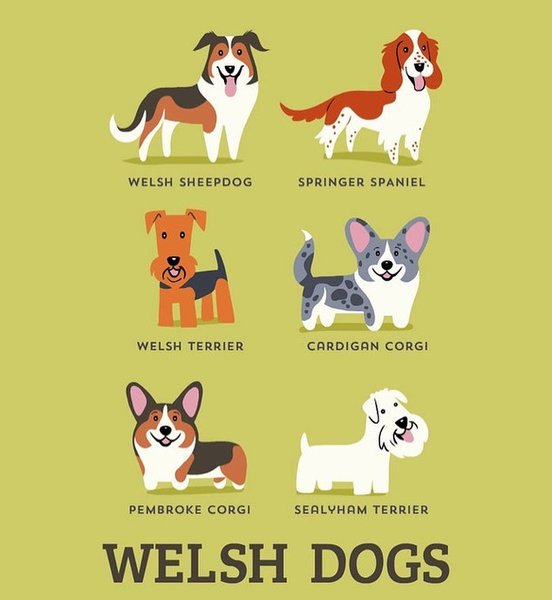 Thumbnail of p-bzz8ocyi8bo-767f871bbb994f7e 0