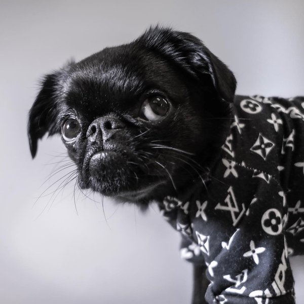 Thumbnail of p-b06dykhnl7v-76b92e8b8a724141 0