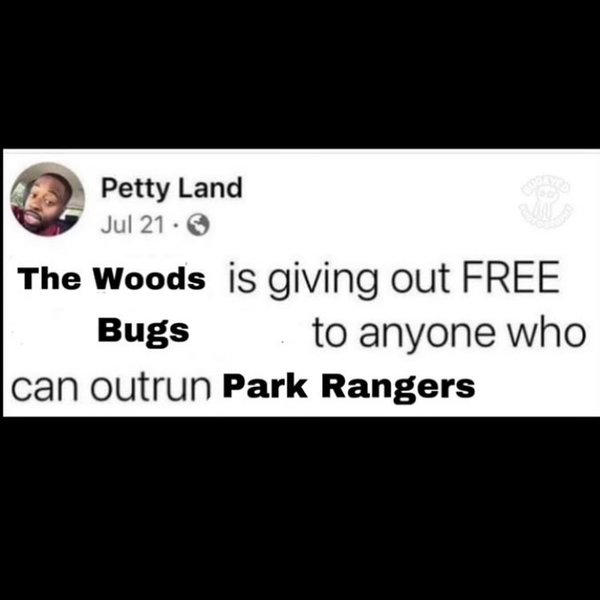 Thumbnail of p-dgotjteyrg6-76bac1d18af5409e 8