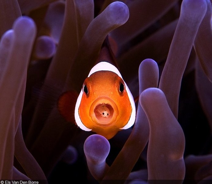 Thumbnail of ckoxv-ogpbz-76dd784181654dea 0