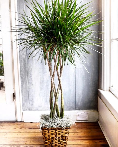 Thumbnail of p-ciptrqyhdcc-7700af7c20114670 0